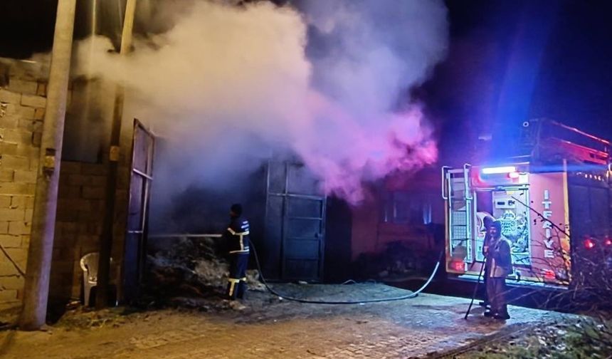 Samanlıkta çıkan yangında 5 koyun telef oldu