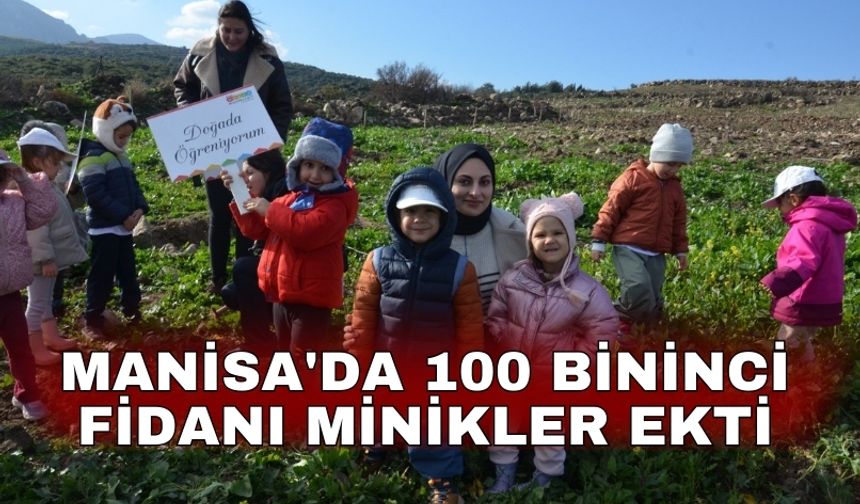 Manisa'da 100 bininci fidanı minikler ekti