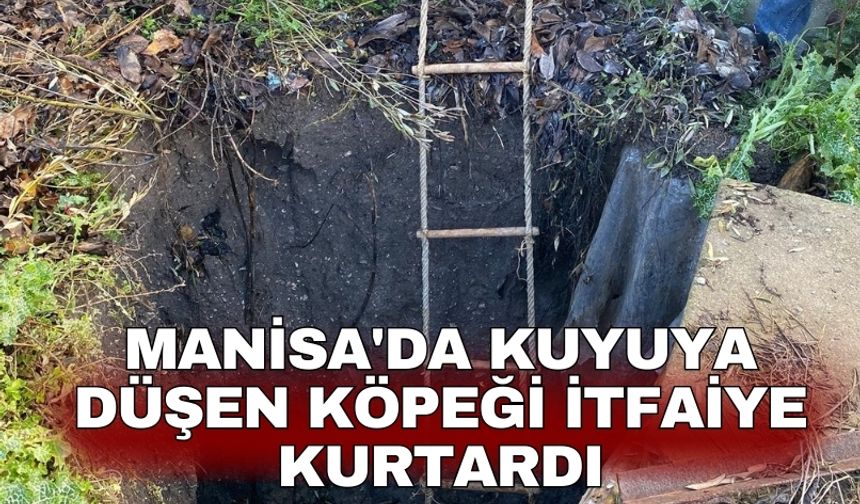 Manisa'da kuyuya düşen köpeği itfaiye kurtardı