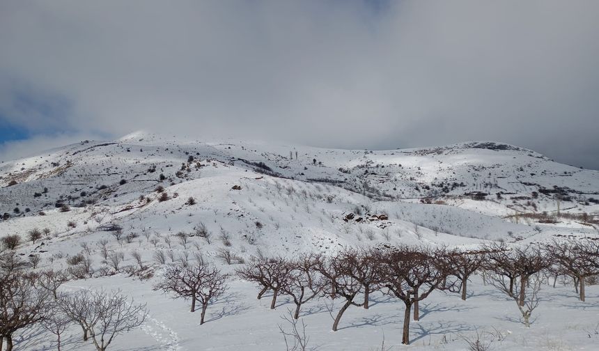 Kar görmeyen Alaşehirli çocuklar karla buluşacak