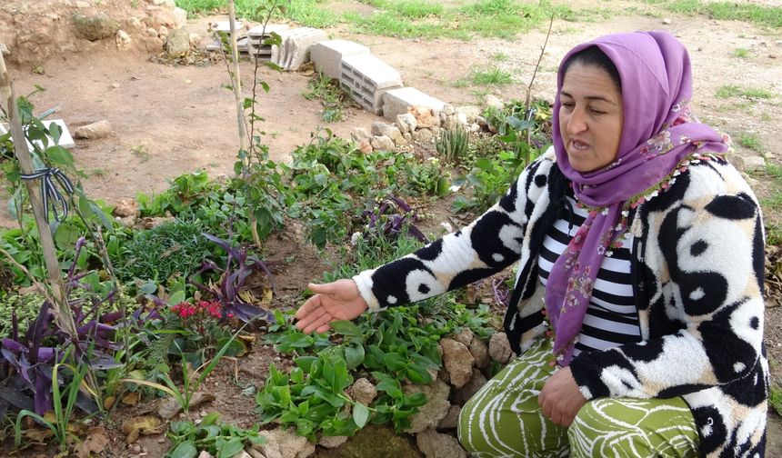 Babasının mezarındaki çiçekleri söküp uyuşturucu sakladılar