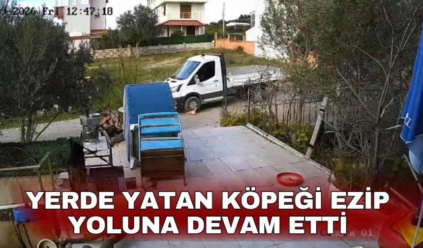 Yerde yatan köpeği ezip yoluna devam etti
