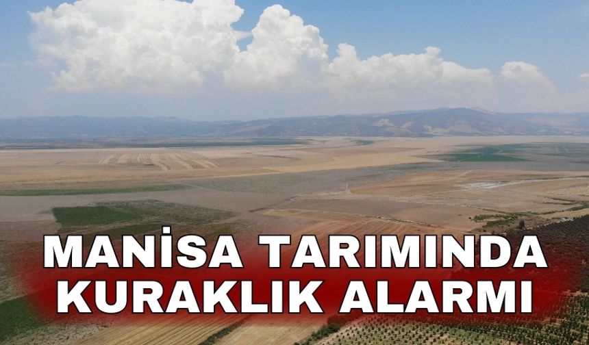 Manisa tarımında kuraklık alarmı