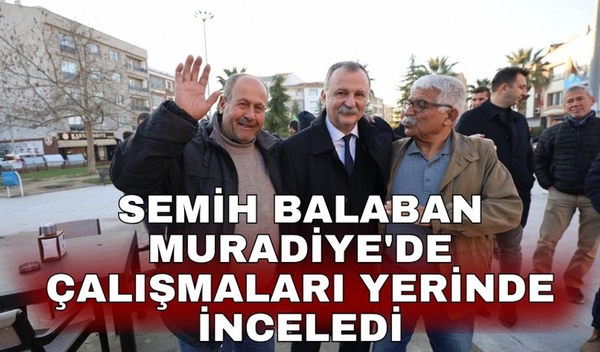 Semih Balaban Muradiye'de çalışmaları yerinde inceledi