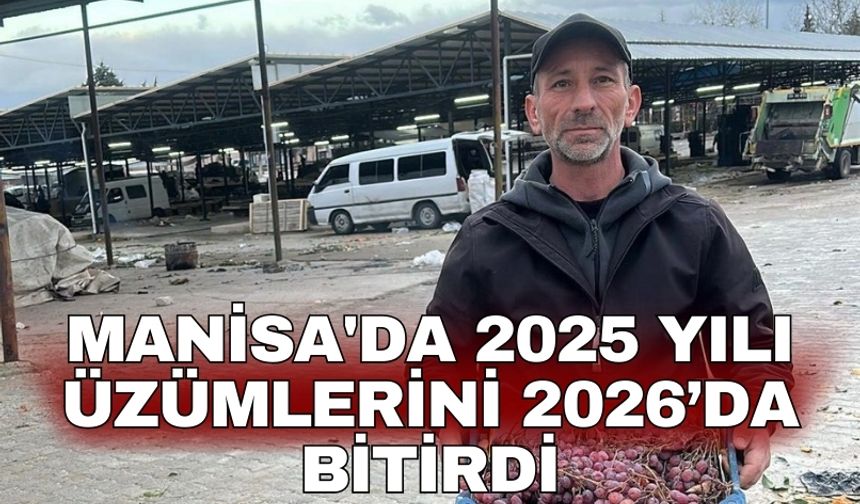 Manisa'da 2025 yılı üzümlerini 2026’da bitirdi
