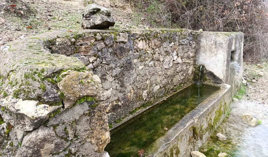 Selendi'de kuruyan çeşmeler yeniden hayat buldu