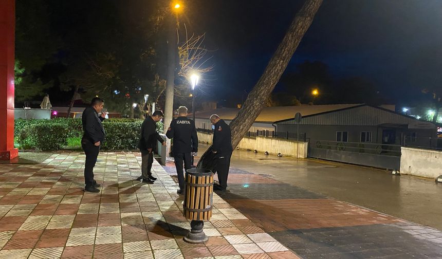 Yarım asırlık çam ağacı fırtınaya dayanamadı