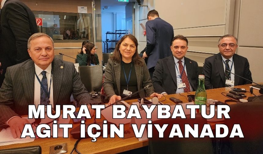 Murat Baybatur AGİT için Viyanada