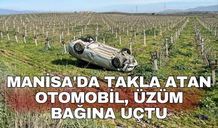 Manisa'da takla atan otomobil, üzüm bağına uçtu