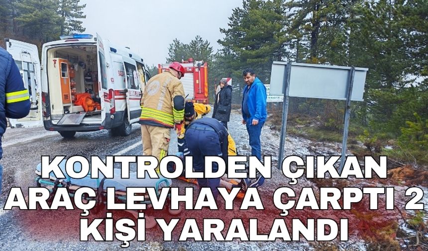 Kontrolden çıkan araç levhaya çarptı 2 kişi yaralandı