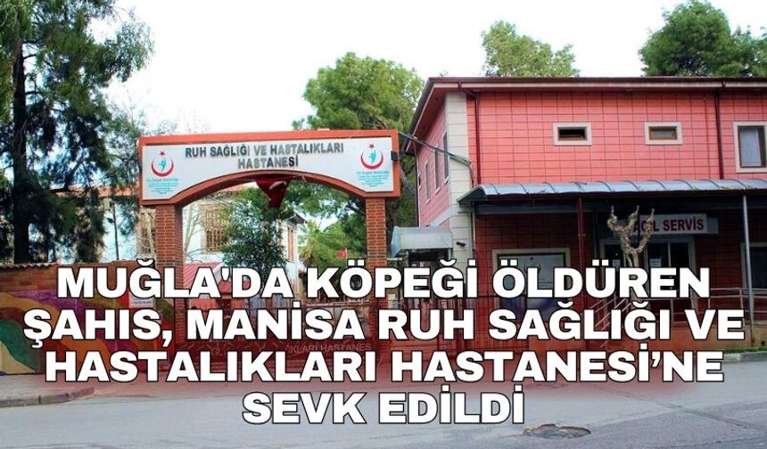 Muğla'da köpeği öldüren şahıs, Manisa Ruh Sağlığı ve Hastalıkları Hastanesi’ne sevk edildi