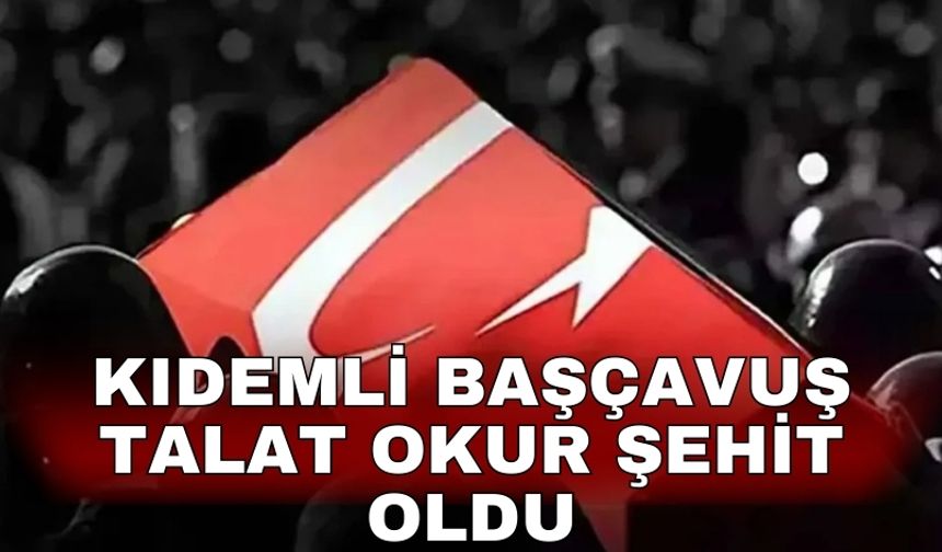 Kıdemli Başçavuş Talat Okur şehit oldu