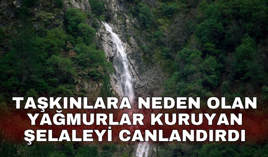 Taşkınlara neden olan yağmurlar kuruyan şelaleyi canlandırdı