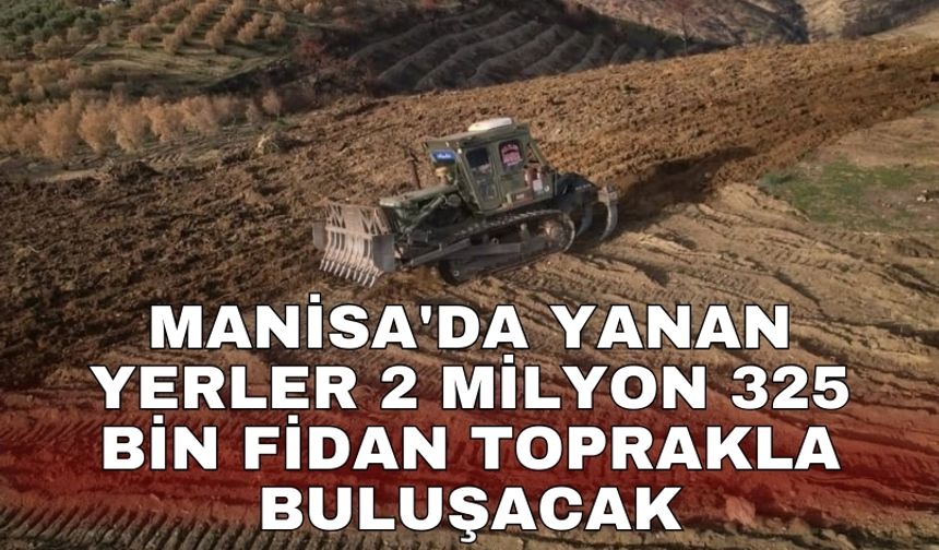 Manisa'da yanan yerler 2 milyon 325 bin fidan toprakla buluşacak