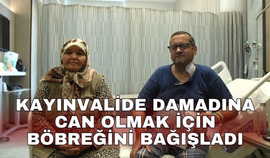Kayınvalide damadına can olmak için böbreğini bağışladı