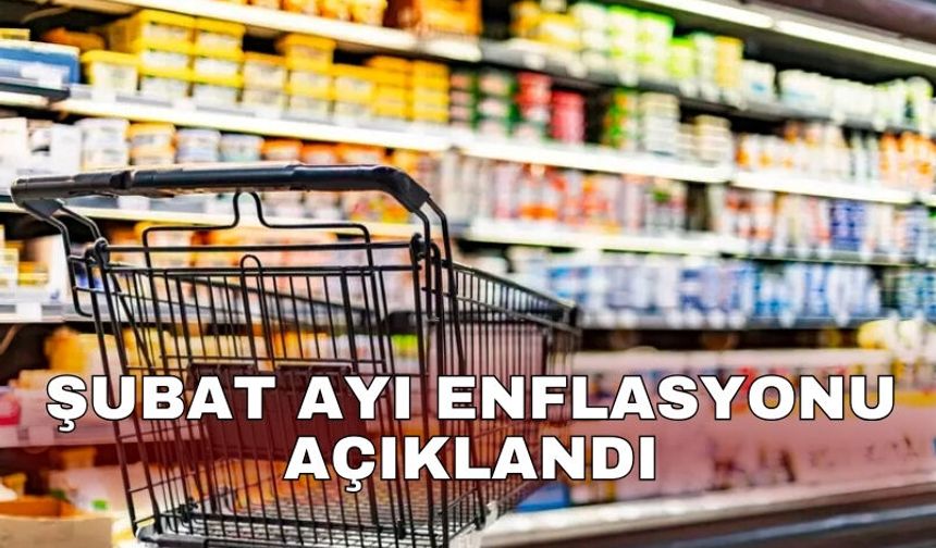 Şubat ayı enflasyonu açıklandı