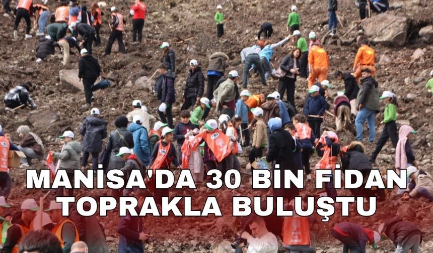 Manisa'da 30 bin fidan toprakla buluştu
