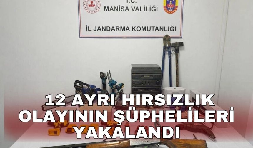 12 ayrı hırsızlık olayının şüphelileri yakalandı