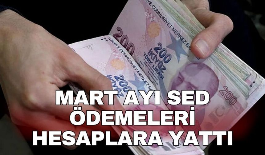 Mart ayı SED ödemeleri hesaplara yattı