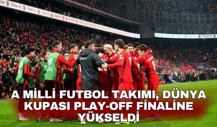 A Milli Futbol Takımı, Dünya Kupası play-off finaline yükseldi