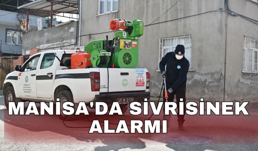 Manisa'da sivrisinek alarmı