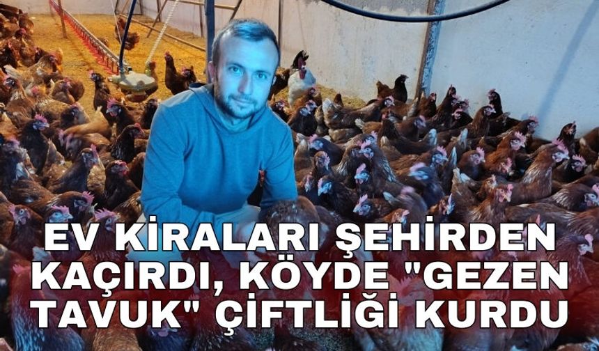 Ev kiraları şehirden kaçırdı, köyde "gezen tavuk" çiftliği kurdu