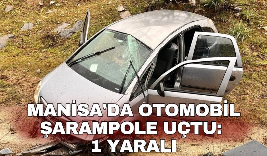 Manisa'da otomobil şarampole uçtu: 1 yaralı