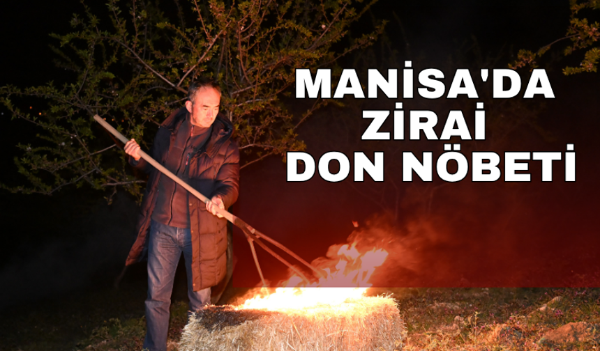 Manisa'da zirai don nöbeti