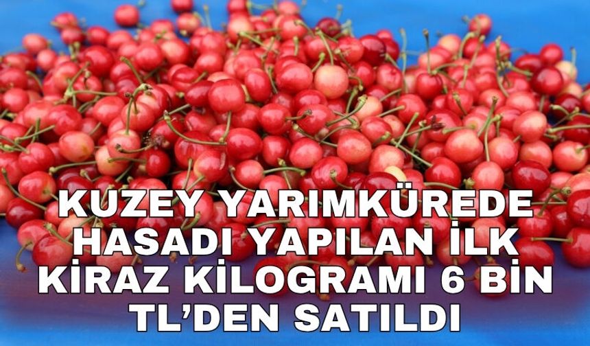 Kuzey yarımkürede hasadı yapılan ilk kiraz kilogramı 6 bin TL’den satıldı