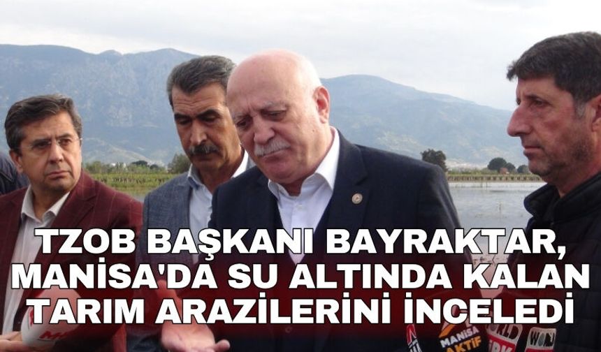 TZOB Başkanı Bayraktar, Manisa'da su altında kalan tarım arazilerini inceledi
