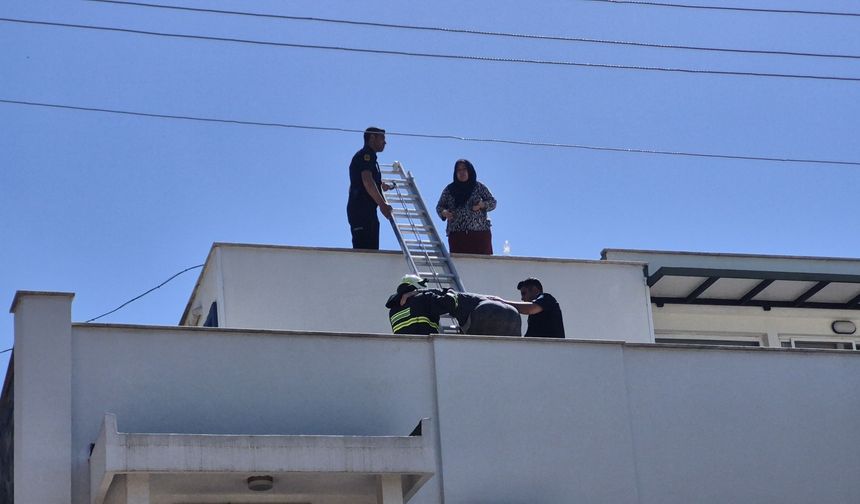 Elektrik hattı patladı, çıkan yangında 2 kişi mahsur kaldı