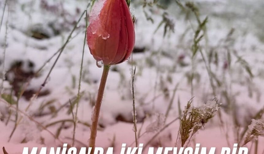 Manisa'da iki mevsim bir arada