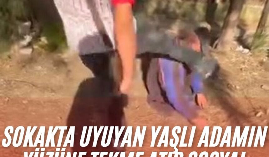 Sokakta uyuyan yaşlı adamı önce darp ettiler sonra sosyal medyada paylaştılar