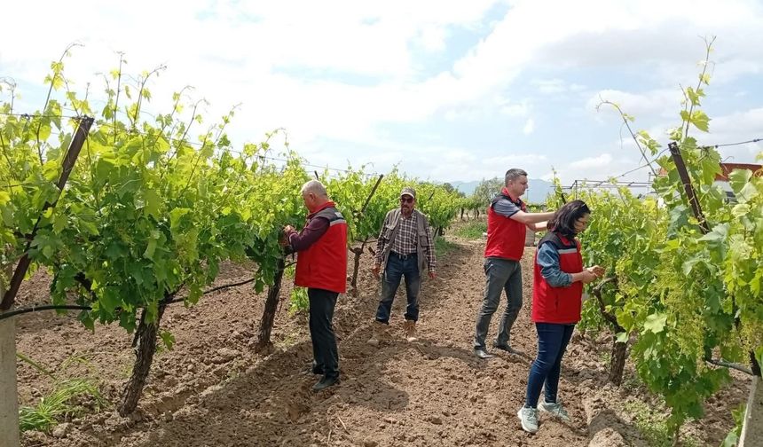 Manisa’da tarım denetimleri hız kesmiyor