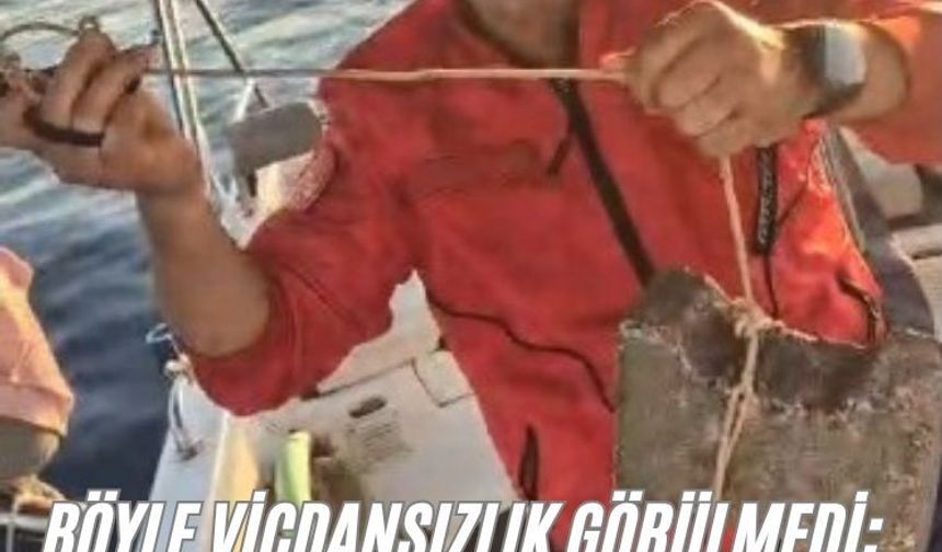 Böyle vicdansızlık görülmedi: "Deniz kaplumbağasının ayağına kaldırım taşı bağlamışlar"