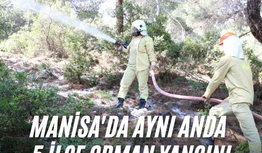 Manisa'da aynı anda 5 ilçe orman yangını tatbikatı yapıldı