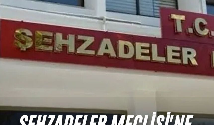 Şehzadeler Meclisi'ne 2 AK Partili üye daha