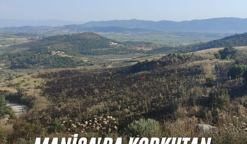 Manisa'da korkutan orman yangını