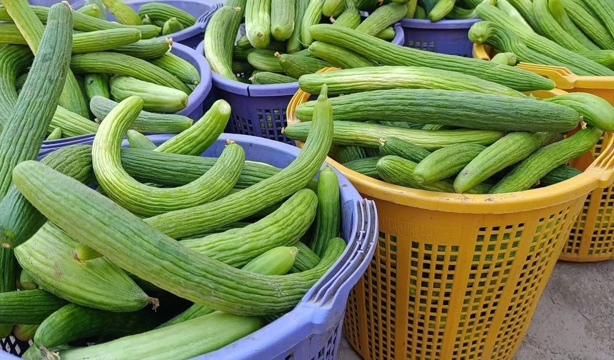 Emcelli'nin doğal acuru tezgahlardaki yerini aldı
