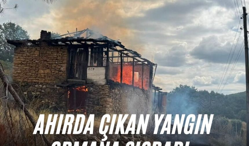 Ahırda çıkan yangın ormana sıçradı, büyümeden söndürüldü