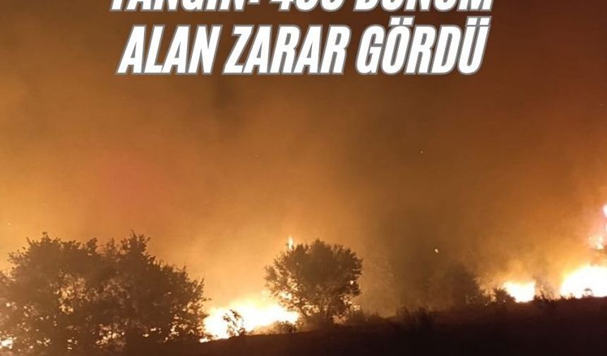 Manisa'da makilik alanda yangın: 400 dönüm alan zarar gördü