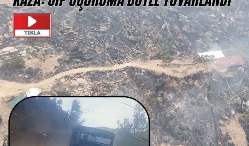 Ormanın sessiz çığlığı havadan görüntülendi