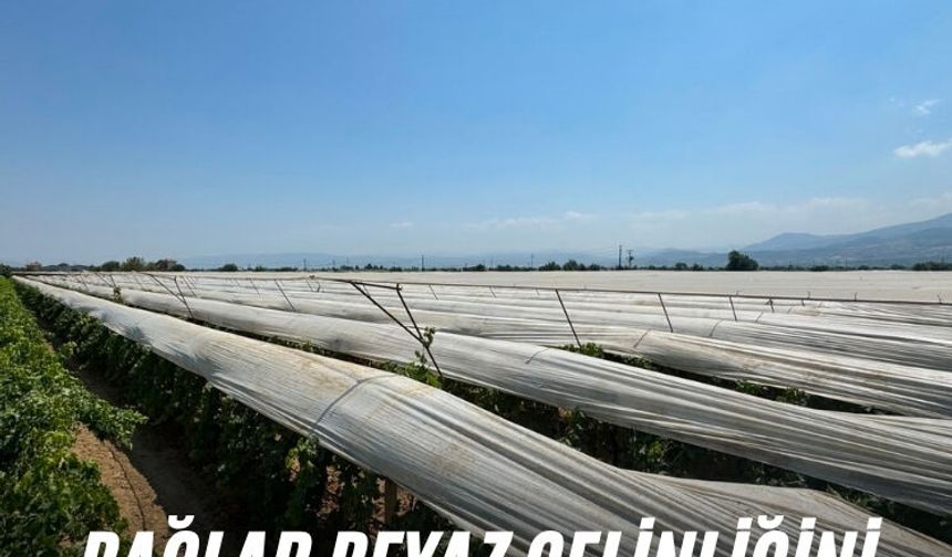 Bağlar beyaz gelinliğini giymeye devam ediyor