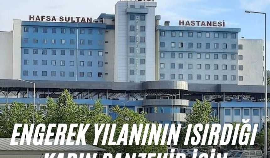 Engerek yılanının ısırdığı kadın panzehir için Manisa'ya sevk edildi