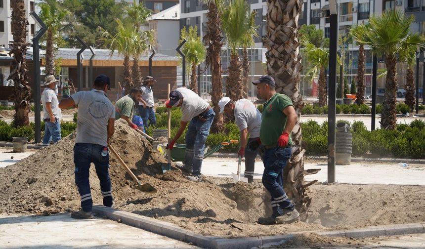 Muradiye'de yeşil dönüşüm