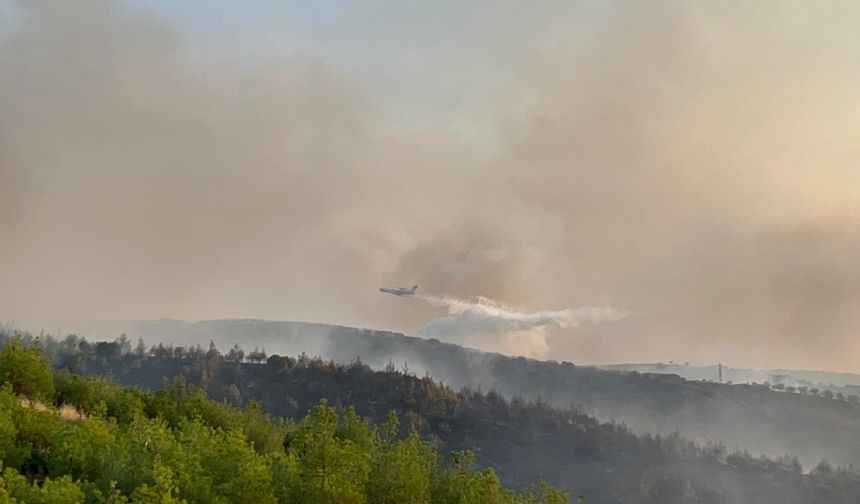 Kula’daki orman yangınına havadan ve karadan müdahale sürüyor