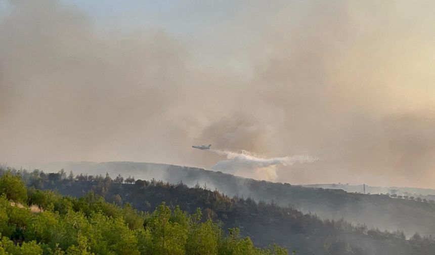 Manisa'da 3 günlük alarm: Orman yangını riskine karşı tedbirler artırıldı