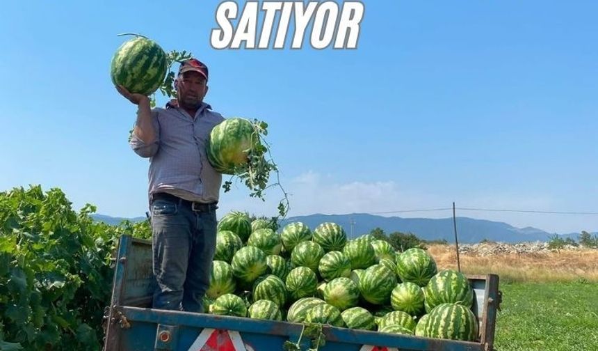 Tarlada para etmeyen karpuzu pazarda kendisi satıyor