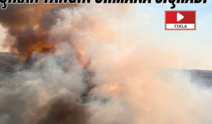 Kula’da tarım arazisinde çıkan yangın ormana sıçradı