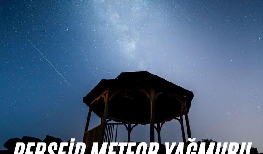 Perseid meteor yağmuru 'Yanık Ülke'yi aydınlattı